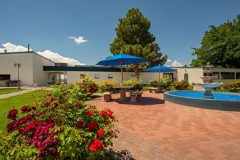 Courtyard with rose garden and shaded areas